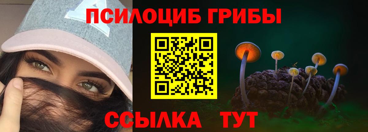 Псилоцибиновые грибы мухоморы  Вход с VPN  Новороссийск 